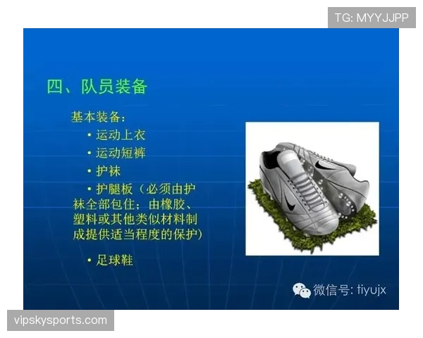 裁判报告在足球比赛中对判罚细节和规则执行的记录标准解析