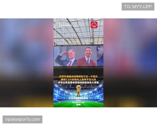 世界杯美国队D组专题全景分析